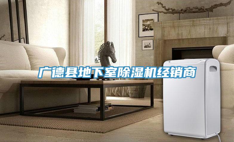广德县地下室小黄片直播视频经销商