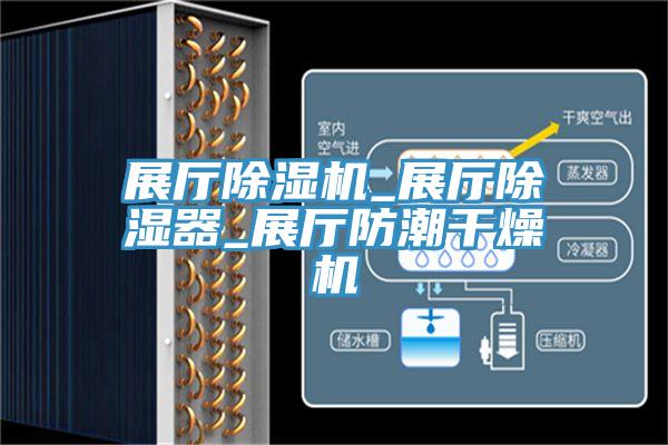展厅小黄片直播视频_展厅除湿器_展厅防潮干燥机