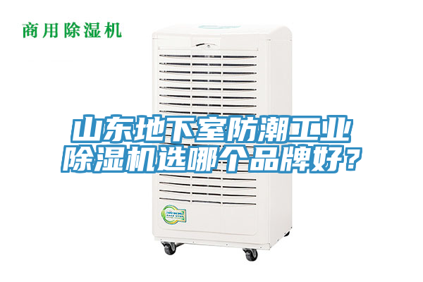 山东地下室防潮工业小黄片直播视频选哪个品牌好？