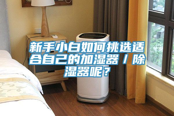 新手小白如何挑选适合自己的加湿器／除湿器呢？