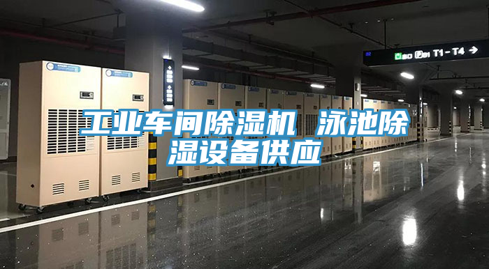 工业车间小黄片直播视频 泳池除湿设备供应