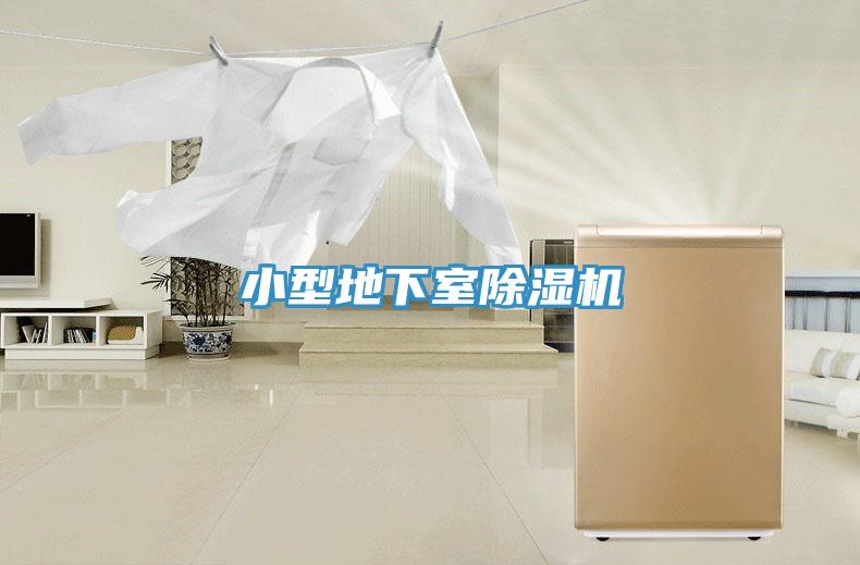 小型地下室小黄片直播视频