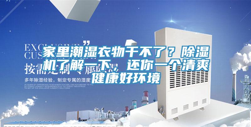 家里潮湿衣物干不了？小黄片直播视频了解一下，还你一个清爽健康好环境