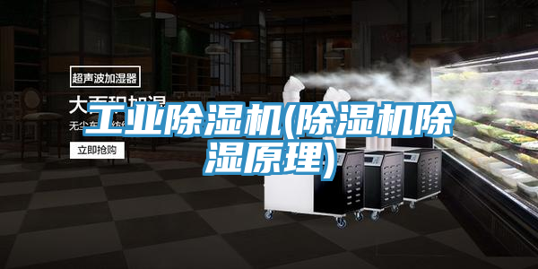 工业小黄片直播视频(小黄片直播视频除湿原理)