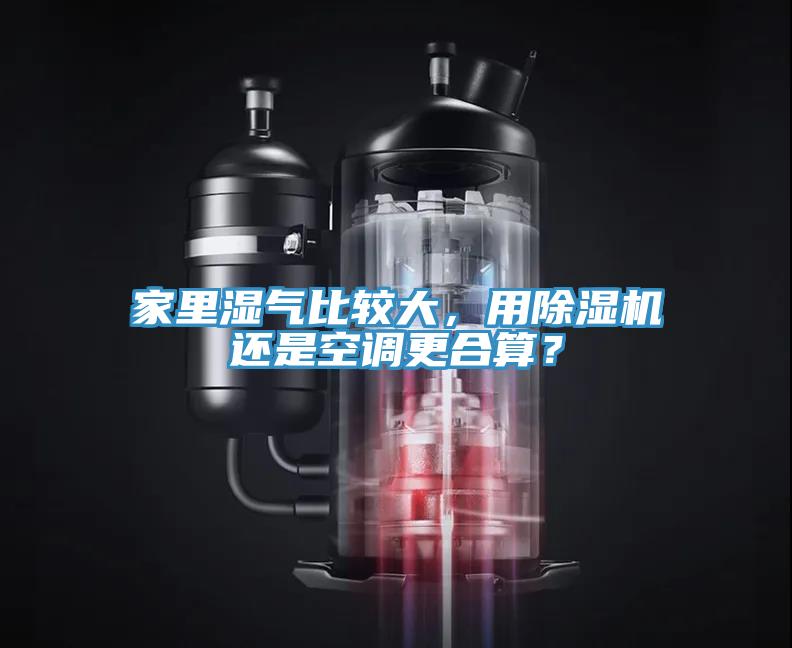 家里湿气比较大，用小黄片直播视频还是空调更合算？