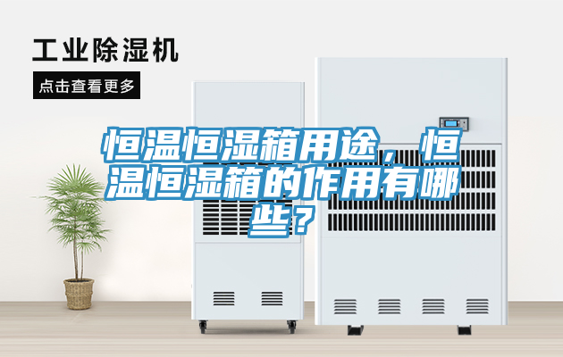 恒温恒湿箱用途，恒温恒湿箱的作用有哪些？