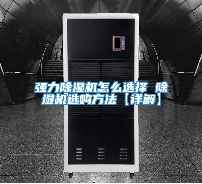 强力小黄片直播视频怎么选择 小黄片直播视频选购方法【详解】