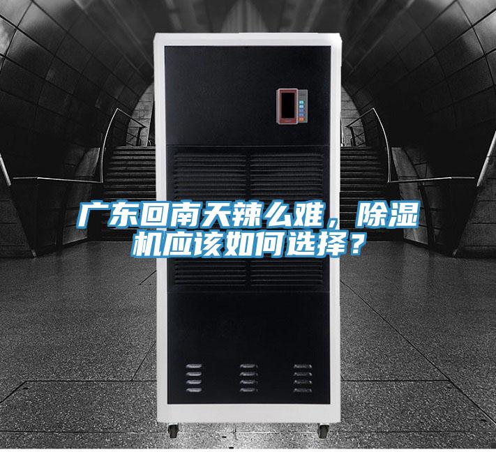 广东回南天辣么难，小黄片直播视频应该如何选择？