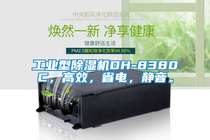 工业型小黄片直播视频DH-8380C，高效，省电，静音。