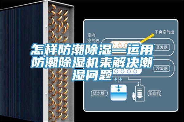 怎样防潮除湿—运用防潮小黄片直播视频来解决潮湿问题