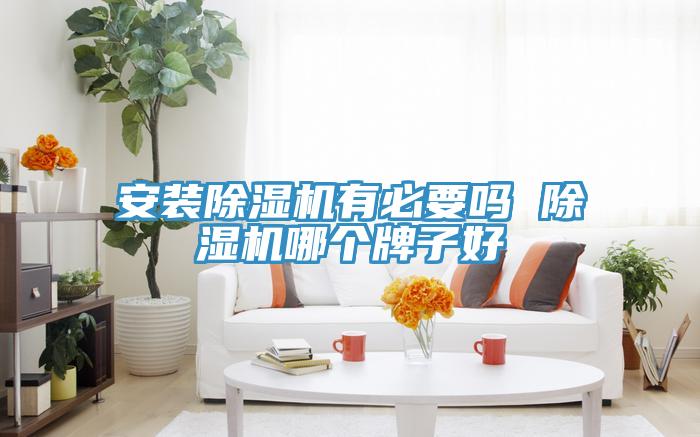 安装小黄片直播视频有必要吗 小黄片直播视频哪个牌子好