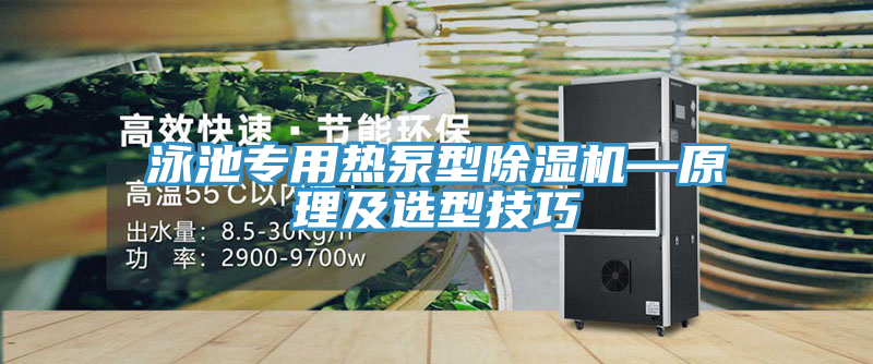 泳池专用热泵型小黄片直播视频—原理及选型技巧