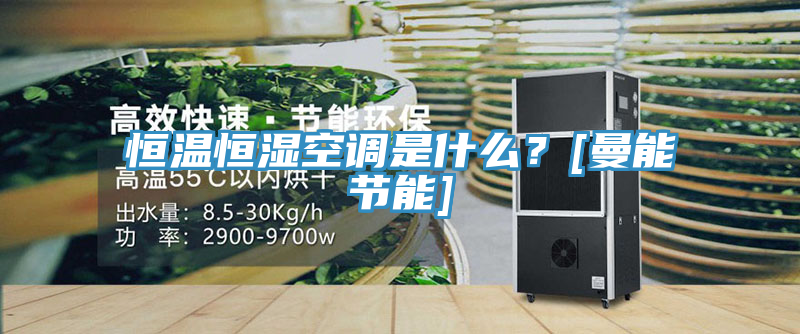 恒温恒湿空调是什么？[曼能节能]