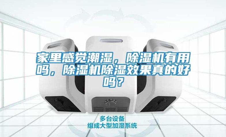 家里感觉潮湿，小黄片直播视频有用吗，小黄片直播视频除湿效果真的好吗？