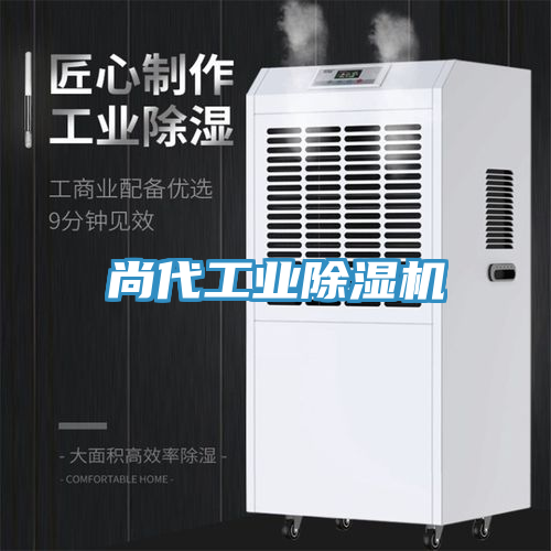 尚代工业小黄片直播视频