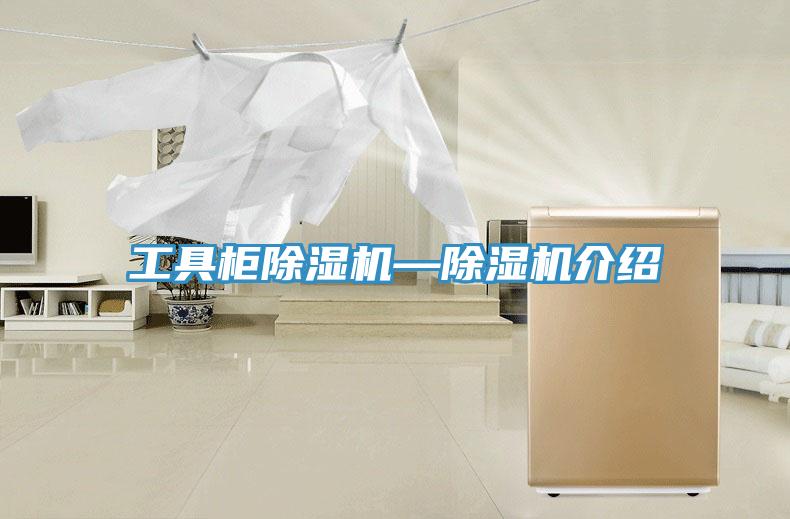 工具柜小黄片直播视频—小黄片直播视频介绍