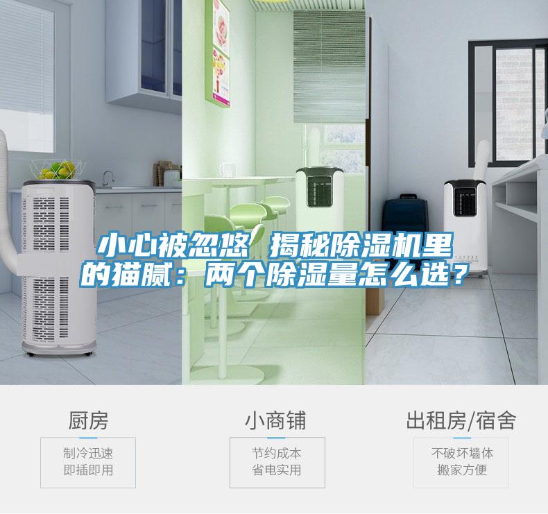 小心被忽悠 揭秘小黄片直播视频里的猫腻：两个除湿量怎么选？