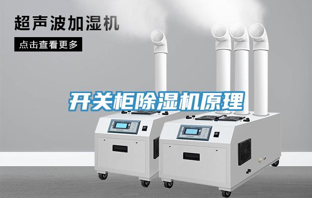 开关柜小黄片直播视频原理