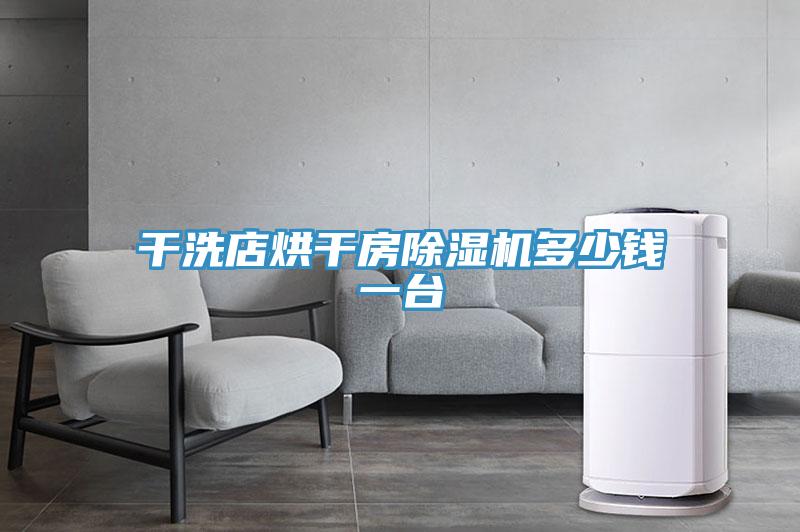 干洗店烘干房小黄片直播视频多少钱一台
