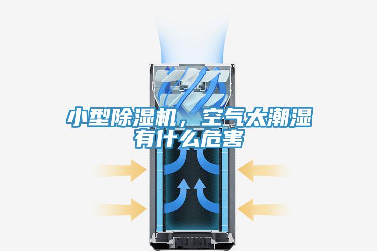 小型小黄片直播视频，空气太潮湿有什么危害