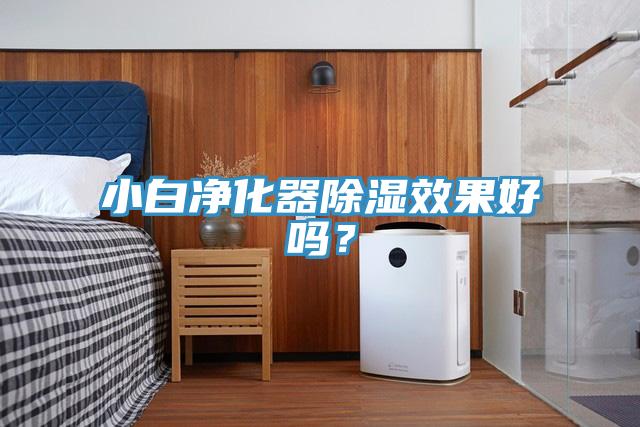 小白净化器除湿效果好吗？