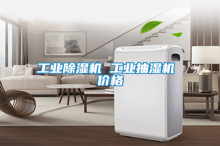 工业小黄片直播视频 工业抽湿机 价格