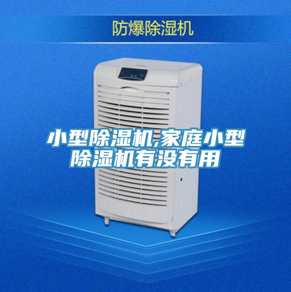 小型小黄片直播视频,家庭小型小黄片直播视频有没有用