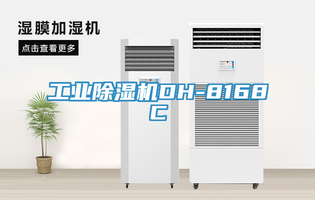 工业小黄片直播视频DH-8168C