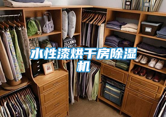 水性漆烘干房小黄片直播视频