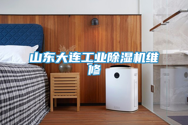 山东大连工业小黄片直播视频维修