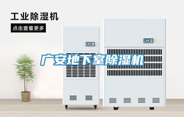广安地下室小黄片直播视频
