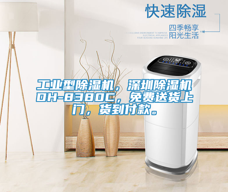 工业型小黄片直播视频，深圳小黄片直播视频DH-8380C，免费送货上门，货到付款。