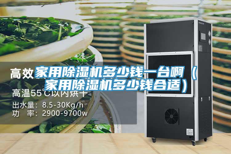 家用小黄片直播视频多少钱一台啊（家用小黄片直播视频多少钱合适）