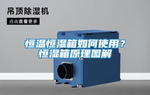 恒温恒湿箱如何使用？恒湿箱原理图解
