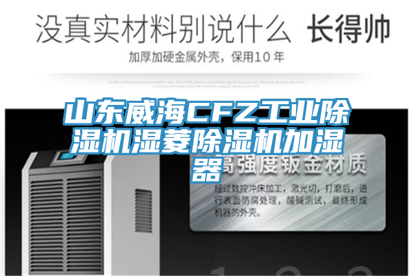 山东威海CFZ工业小黄片直播视频湿菱小黄片直播视频加湿器