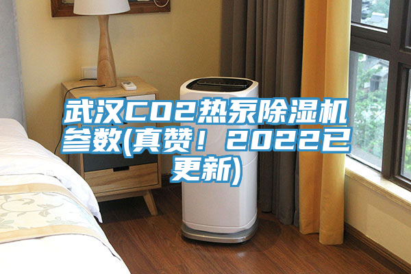 武汉CO2热泵小黄片直播视频参数(真赞！2022已更新)