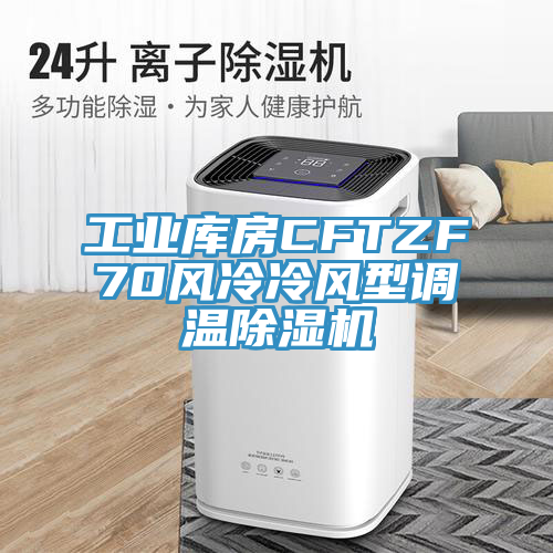 工业库房CFTZF70风冷冷风型调温小黄片直播视频