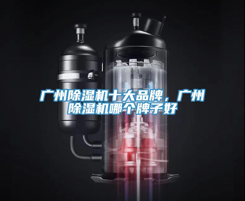 广州小黄片直播视频十大品牌，广州小黄片直播视频哪个牌子好
