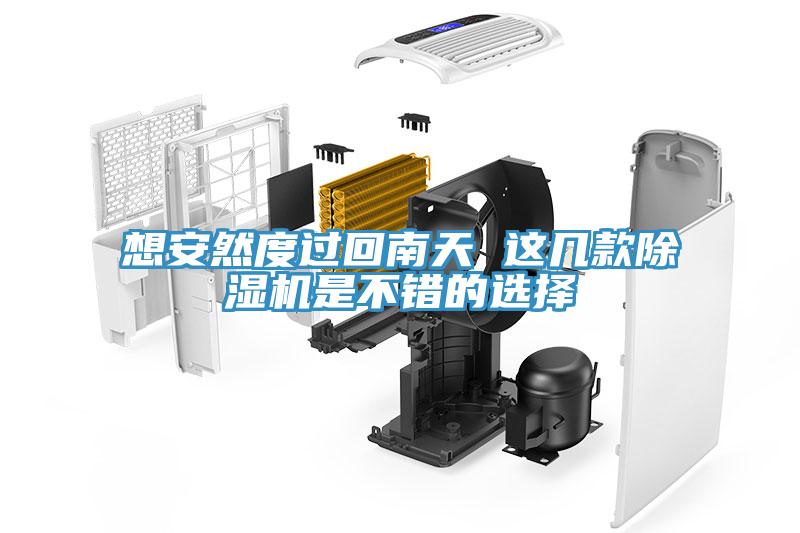 想安然度过回南天 这几款小黄片直播视频是不错的选择
