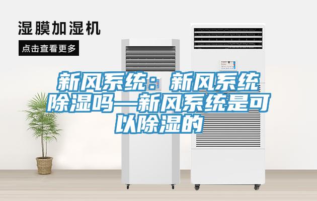 新风系统：新风系统除湿吗—新风系统是可以除湿的