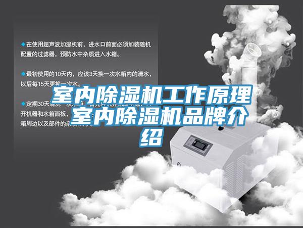室内小黄片直播视频工作原理 室内小黄片直播视频品牌介绍