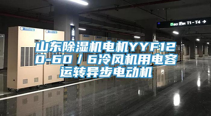 山东小黄片直播视频电机YYF120-60／6冷风机用电容运转异步电动机