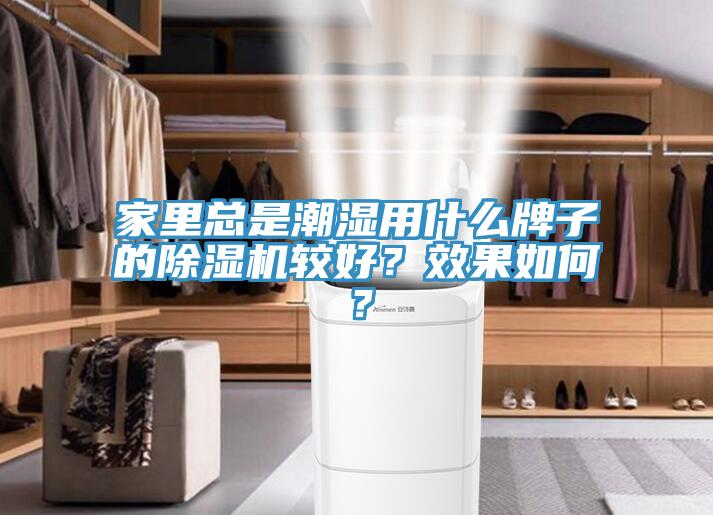 家里总是潮湿用什么牌子的小黄片直播视频较好？效果如何？