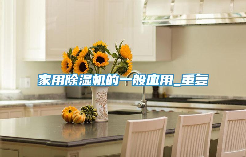 家用小黄片直播视频的一般应用_重复