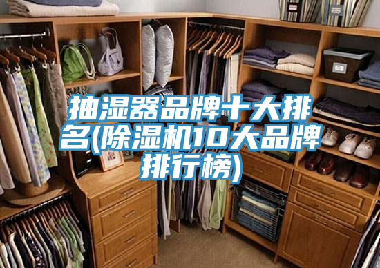 抽湿器品牌十大排名(小黄片直播视频10大品牌排行榜)