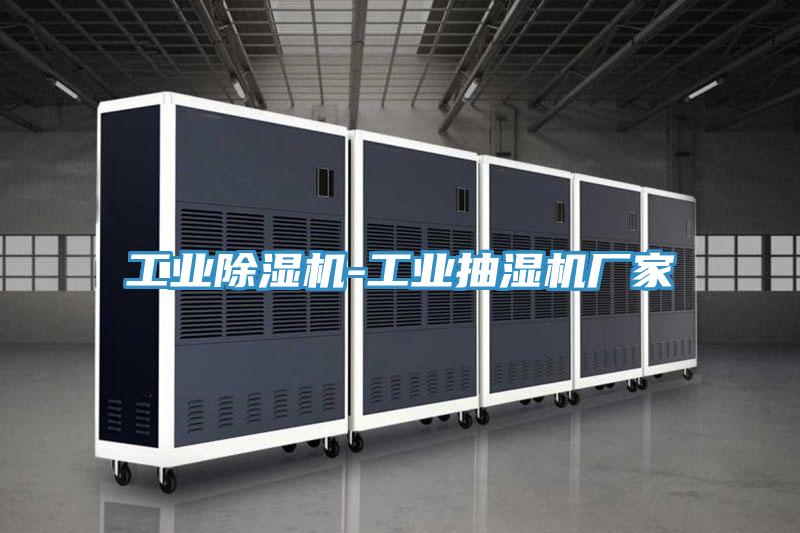 工业小黄片直播视频-工业抽湿机厂家