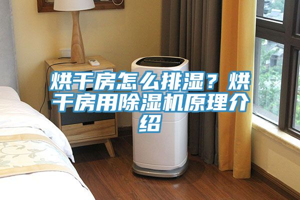 烘干房怎么排湿？烘干房用小黄片直播视频原理介绍