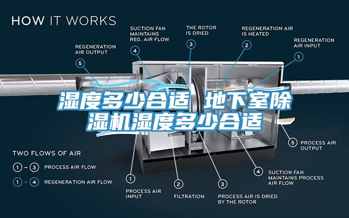 湿度多少合适 地下室小黄片直播视频湿度多少合适
