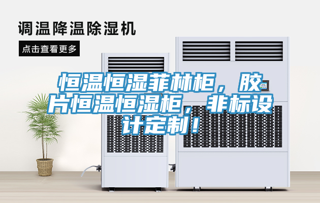 恒温恒湿菲林柜，胶片恒温恒湿柜，非标设计定制！