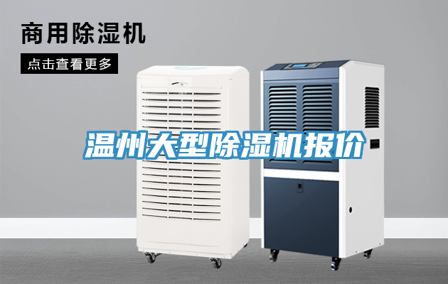 温州大型小黄片直播视频报价